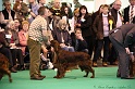 Crufts2011_2 065